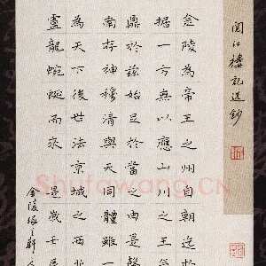 陆从法 硬笔楷书 阅江楼记选抄