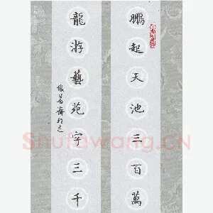 许邦志 硬笔楷书 鹏起龙游七言联