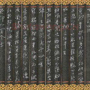 陶浪 硬笔行书 苏东坡词二首