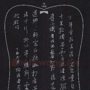 陶浪 硬笔行书 苏东坡词一首
