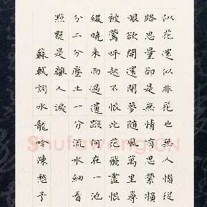 陈利军 硬笔楷书 苏轼词水龙吟