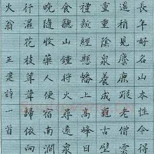 蔡新 硬笔楷书 王建诗一首