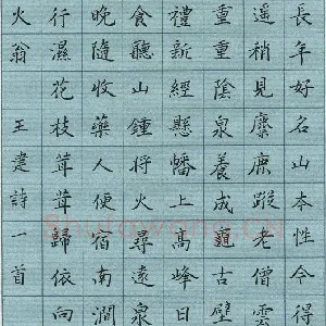 蔡新 硬笔楷书 王建诗一首