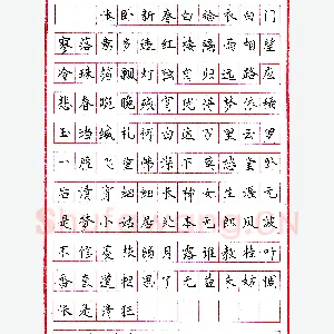 尚佩新圆珠笔录唐诗二首 硬笔书法作品