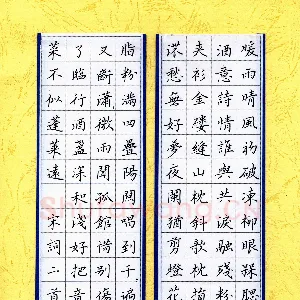 王筱茹 硬笔楷书 宋词二首