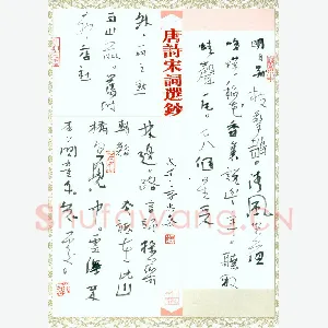李忠燊 硬笔行书 唐诗宋词选抄