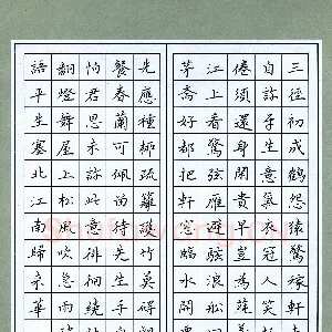 王筱茹 硬笔楷书 辛弃疾词二首