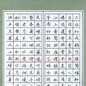 王筱茹 硬笔楷书 辛弃疾词二首
