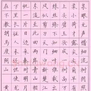 黄娟 硬笔楷书 古诗
