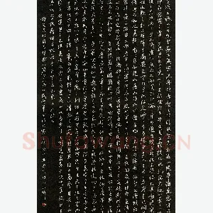 沈明建硬笔录苏东坡赤壁赋 硬笔书法作品