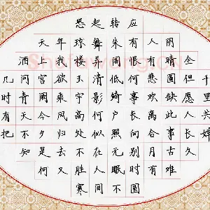 黄娟 硬笔楷书 苏轼词一首