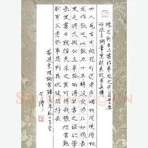 吴伟 硬笔楷书 节选东坡书论