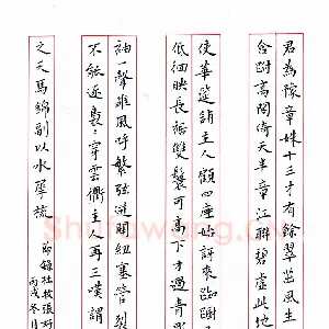 马蕾 硬笔楷书 节录杜牧张好好诗