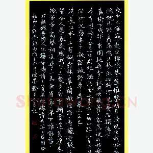 唐国生硬笔行楷阮籍诗咏怀三首 硬笔书法作品