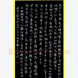 唐国生硬笔行楷阮籍诗咏怀三首 硬笔书法作品