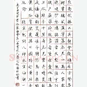 汤祥松硬笔录宋柳永词 硬笔书法作品