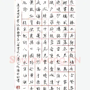 汤祥松硬笔录宋柳永词 硬笔书法作品