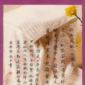 邵泳中 硬笔楷书 白居易诗秋雨夜眠