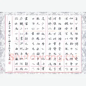 张旗 硬笔楷书 苏轼论书选抄