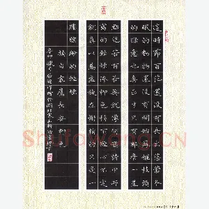 张旗 硬笔楷书 袁鹰长安柳色选摘