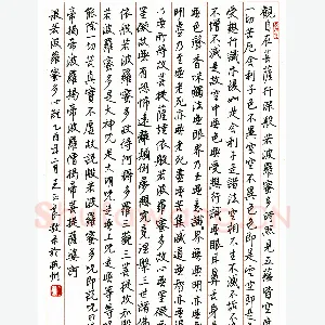 王正良硬笔行书心经 硬笔书法作品