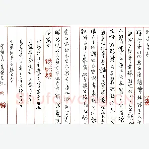 王友杰硬笔录醉翁亭记 硬笔书法作品