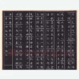 文祖明 硬笔楷书 李白诗将进酒
