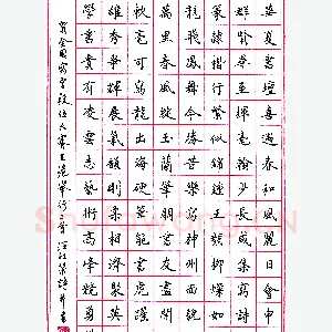 汪祖荣钢笔录贺诗二首 硬笔书法作品