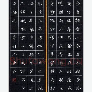 杨森武 硬笔楷书 书论