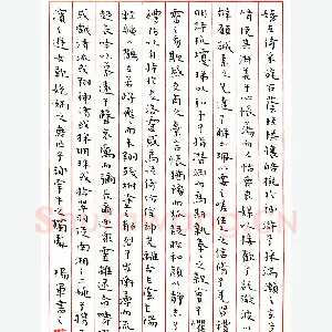 杨军硬笔楷书洛神赋 硬笔书法作品