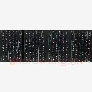 金熙俊 硬笔楷书 启功论书绝句