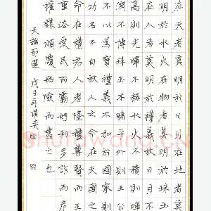 徐萌奕 硬笔楷书 天论节选