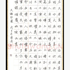 徐萌奕 硬笔楷书 天论节选