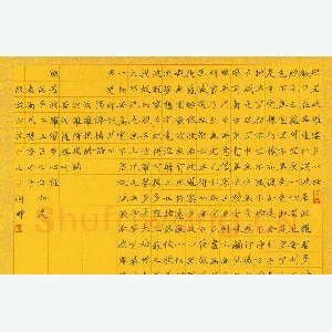 袁卫民硬笔楷书心经 硬笔书法作品