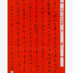 黄阿六 硬笔行书 东坡行香子词二首