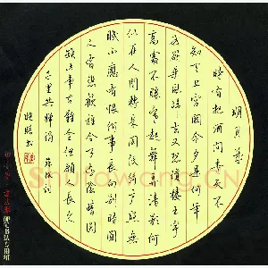 邓晓晴 硬笔行书 苏轼词