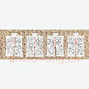 刘志坚 硬笔隶书 启功论书绝句选抄