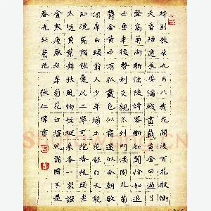 张仁伟 硬笔楷书 古诗选抄