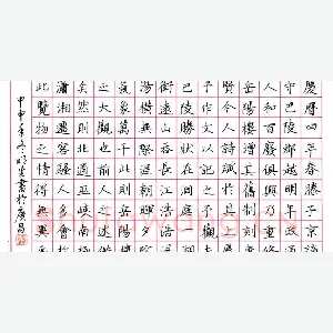 杨明生 硬笔楷书 节录岳阳楼记