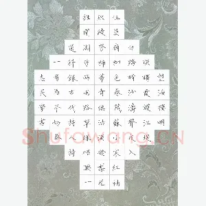 杨志民 硬笔楷书 古诗一首