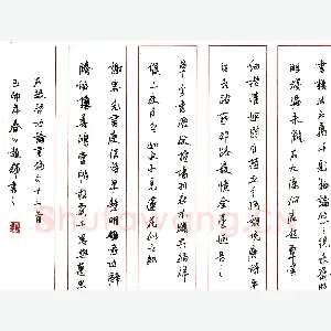 赵辉硬笔录启功论书绝句 硬笔书法作品