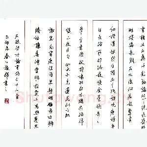 赵辉硬笔录启功论书绝句 硬笔书法作品