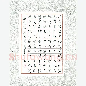王虎军 硬笔楷书 苏轼词洞仙歌