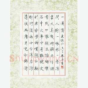 王虎军 硬笔楷书 东坡行香子