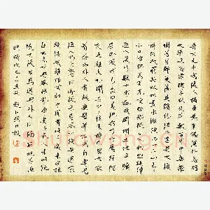 赵占强 硬笔行书 节录桃花源记