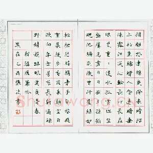 张波 硬笔楷书 韩缜凤箫吟