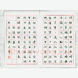 张波 硬笔楷书 韩缜凤箫吟