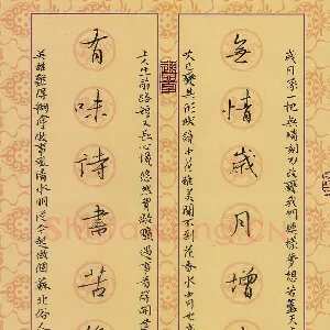 邵泳中 硬笔行书 无情有味联