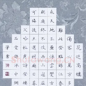 邵泳中 硬笔楷书 杜甫诗登高