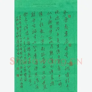陈文轩 硬笔行书 苏轼词贺新郎